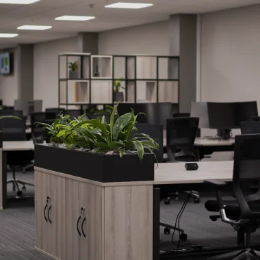 Office Refurbishment