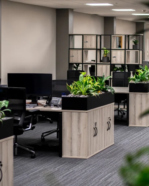 Specsavers – Case Study