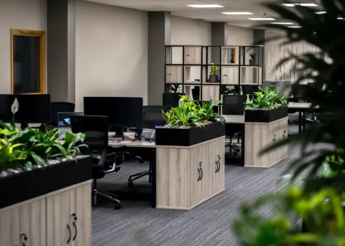 Office Refurbishment